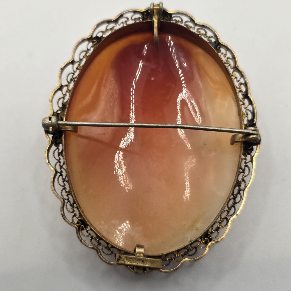 Vintage Cameo Brooch with Gold Filled Accents - Picture 3 of 5